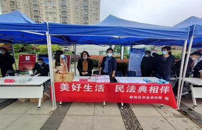 蔡甸区农业农村局开展“民法典进农村”宣传活动市场调研分析报告